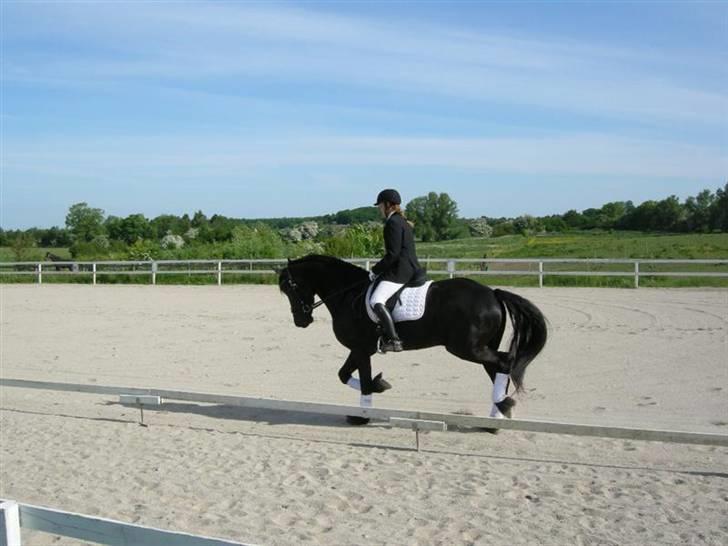 Frieser Sulveren - SOLGT billede 16