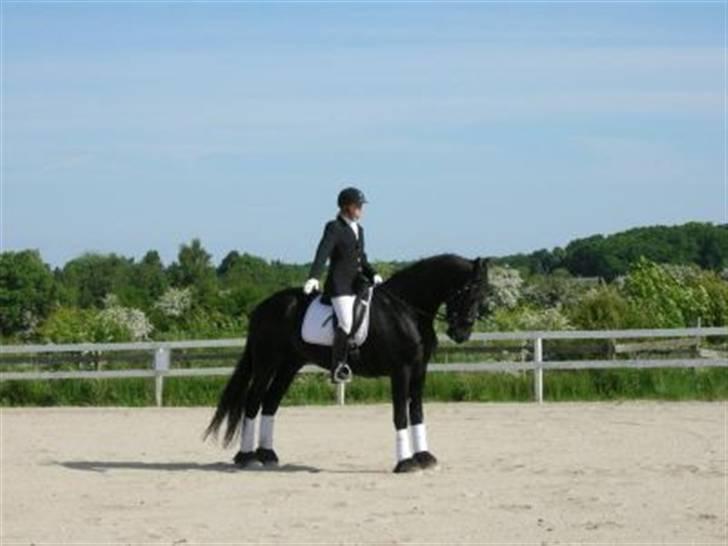 Frieser Sulveren - SOLGT billede 17