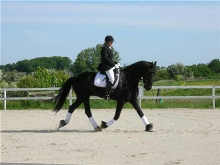 Frieser Sulveren - SOLGT billede 18