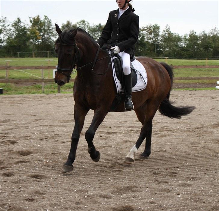 Anden særlig race Bakkelys Felur *Solgt* - Taget af Michelle Greve Nielsen<3 TAK  billede 5