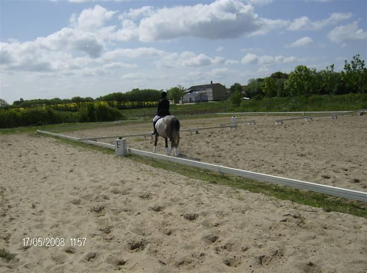 Sportsaraber (A) Silvado - silver *NYT* billede 3