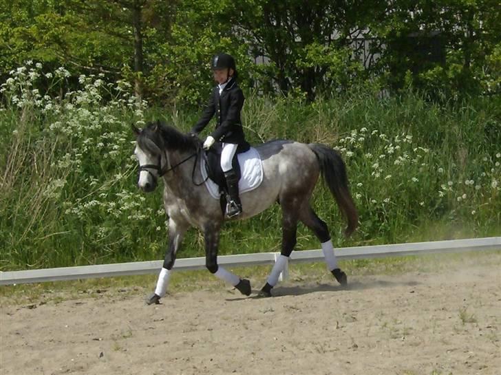 Sportsaraber (A) Silvado - silver *NYT* billede 4
