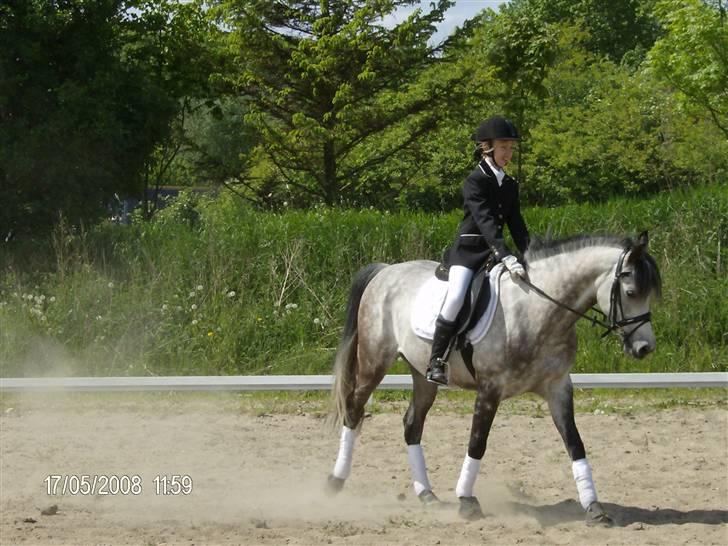 Sportsaraber (A) Silvado - silver *NYT* billede 5