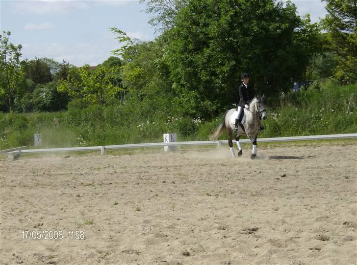 Sportsaraber (A) Silvado - silver *NYT* billede 6