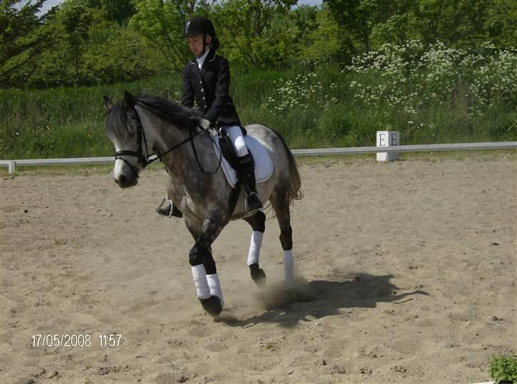 Sportsaraber (A) Silvado - silver *NYT* billede 7