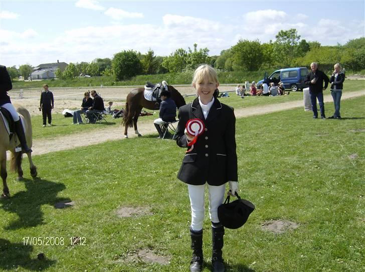 Sportsaraber (A) Silvado - silver *NYT* billede 8