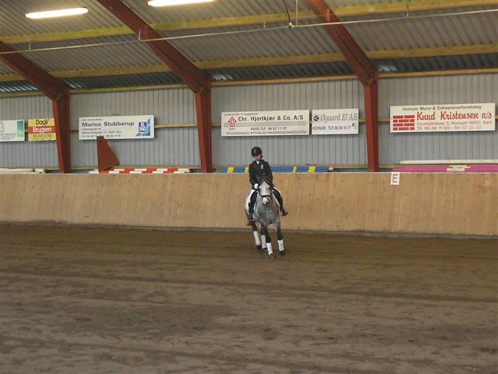 Sportsaraber (A) Silvado - Silver *NYT* billede 9