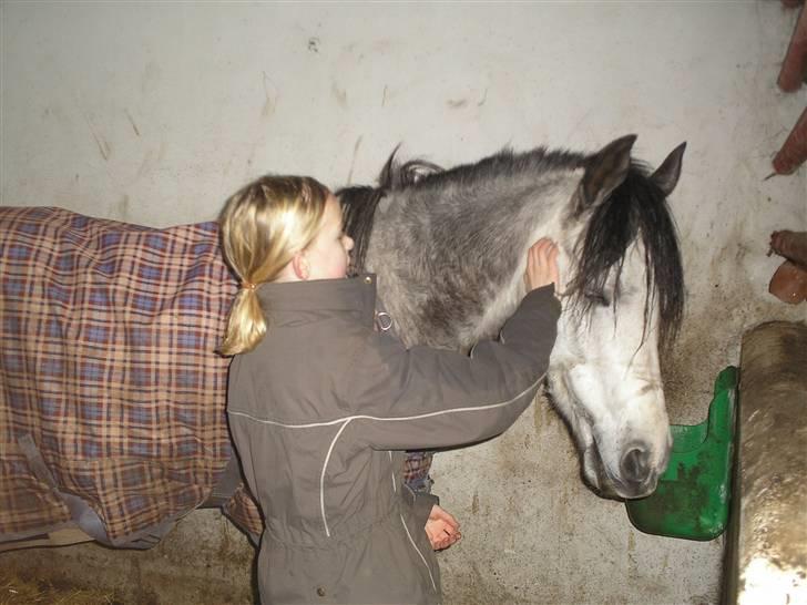 Sportsaraber (A) Silvado - Silver *NYT* billede 10
