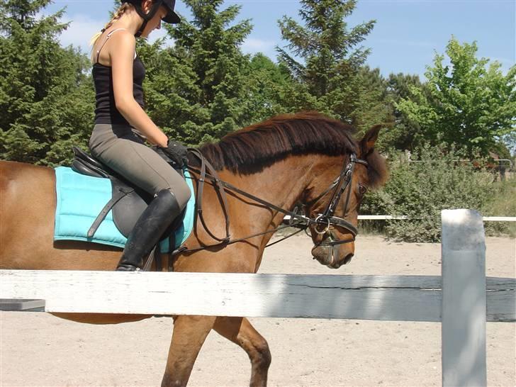 DSP Misty - 4. *NYT* Du er bare så super smuk. Foto: Fie billede 4