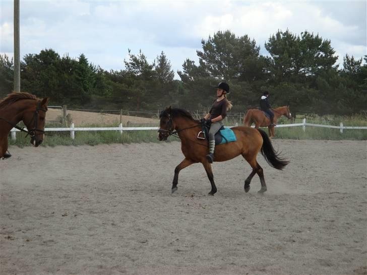 DSP Misty - 6. Dejlig øgning Foto: Fie billede 6