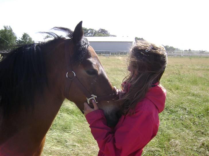 Anden særlig race Color Mix<33 - Elsker dig Color:´) billede 2