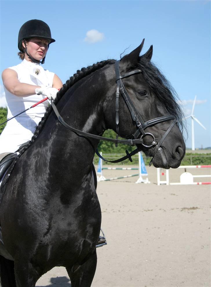 Frieser Henrik p van d`oerte - rikke l og henrik til stævne d 16/5 billede 2