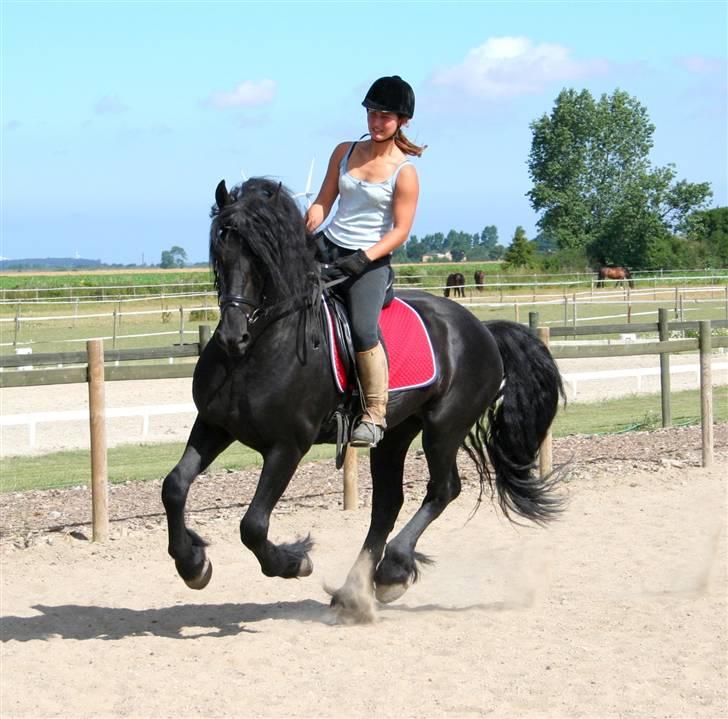 Frieser Henrik p van d`oerte - henrik og rikke billede 9