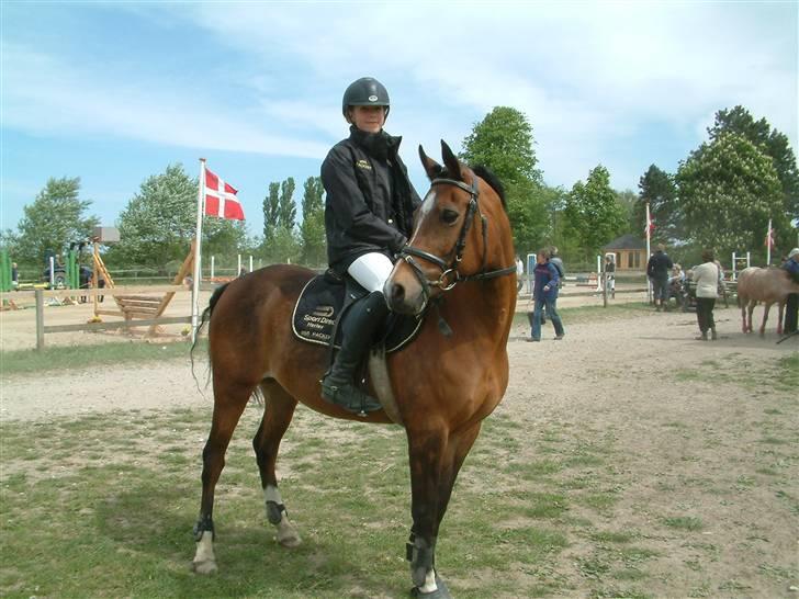 Hollandsk Sportspony sanne/joy solgt R.I.P :'( billede 7