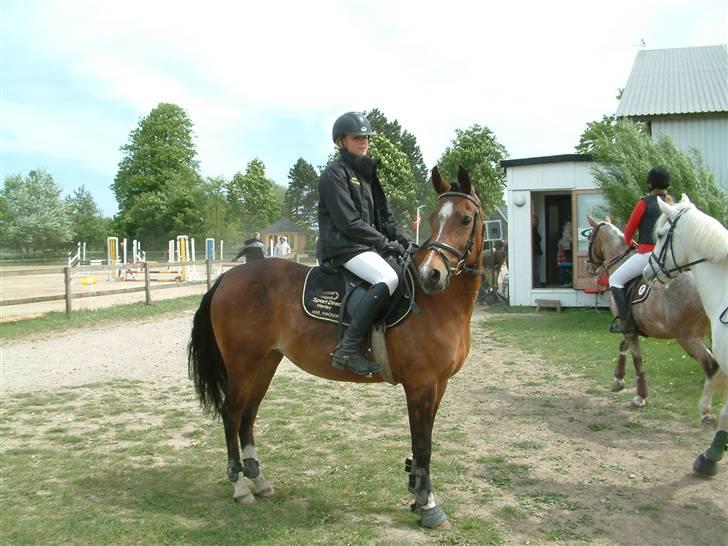 Hollandsk Sportspony sanne/joy solgt R.I.P :'( billede 8