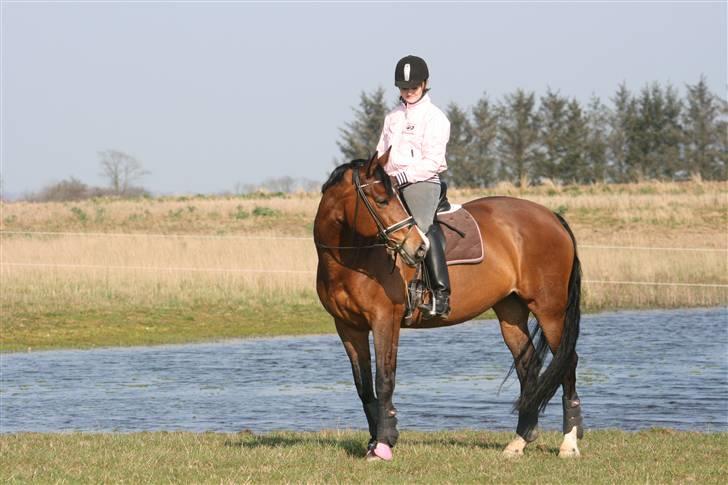 Dansk Varmblod Aja *R.I.P* - Mig og Aja ved en sø. Foto: Maze billede 18