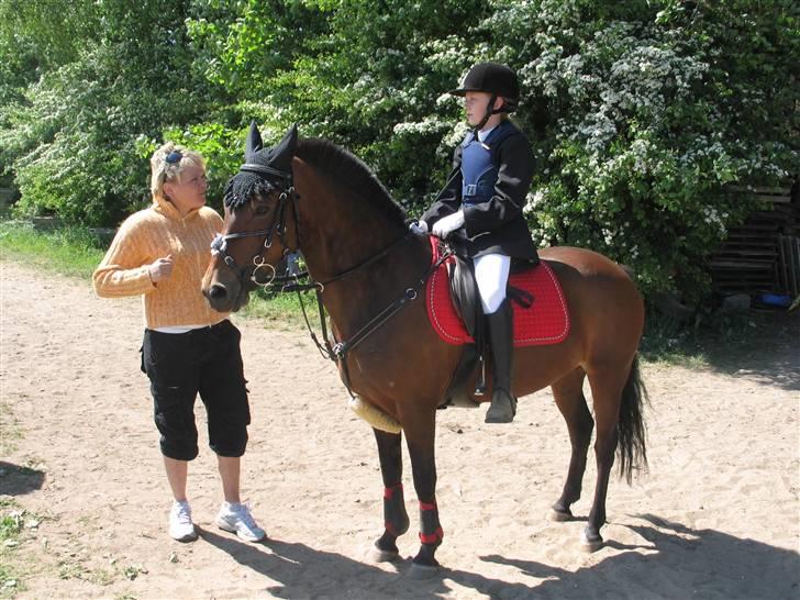 Anden særlig race Gazel himmelhest!:'(<3 -  Stævne i Vorning d. 25 Maj o8. Lykke som træner for en dag. billede 19