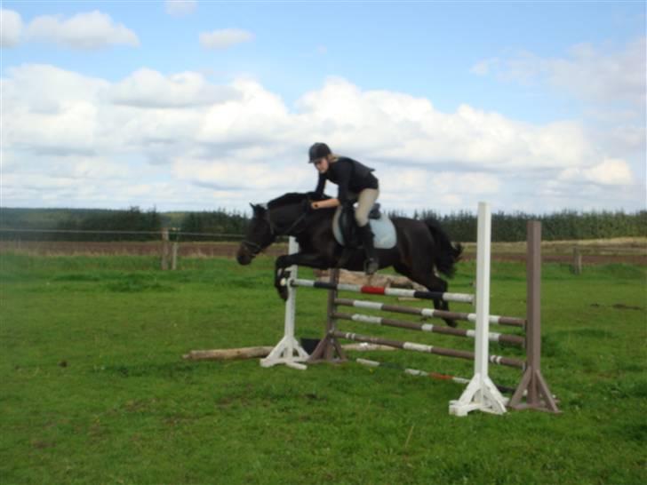 Anden særlig race skipper *Pensioneret - spring  hos camilla (: bane på 100-110 cm, sommeren 2009 (: billede 8