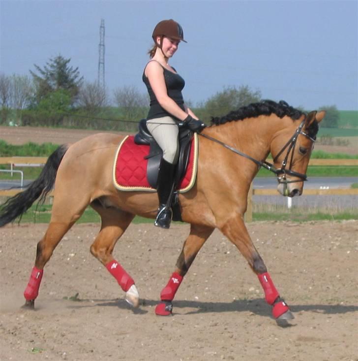 New Forest Baroc SOLGT! :(  - baroc er det bedste.<3  billede 6