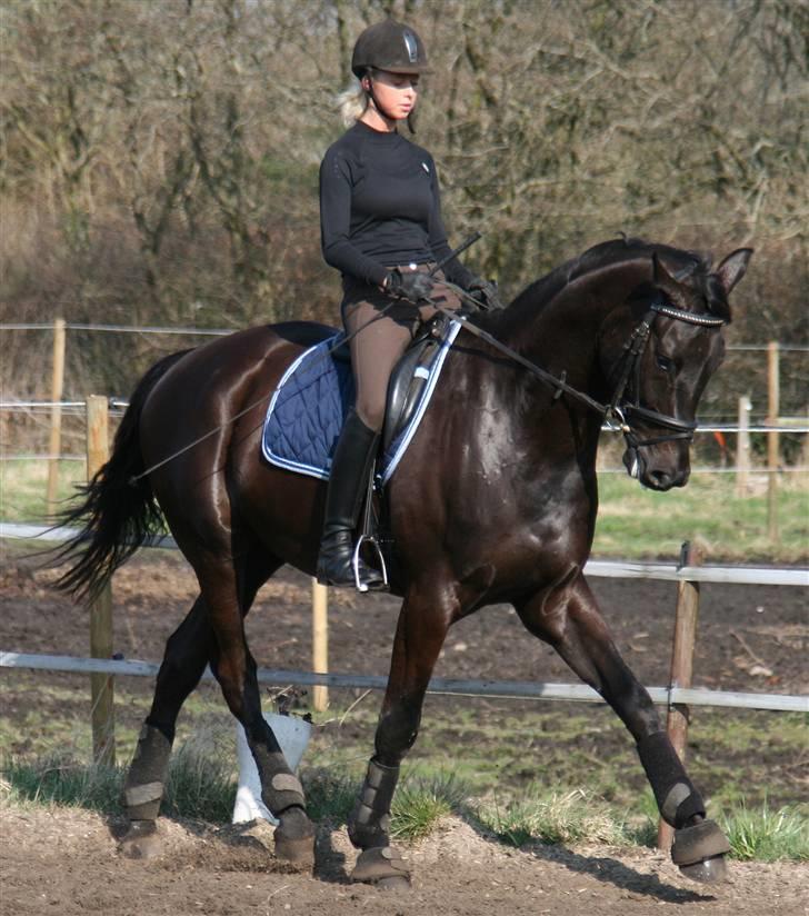 Hannoveraner Eminem  - 10 april 2009 :o) billede 16