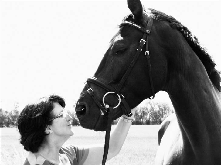 Hannoveraner Eminem  - Min mor og Emi.. mysmys..  sommeren 08 billede 19