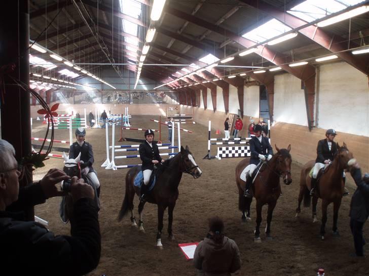 Hollandsk Varmblod Nixon *SOLGT* billede 10