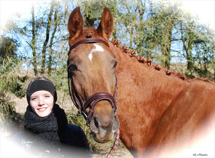 Dansk Varmblod Lana Leth  - Elsker dig <3 billede 4