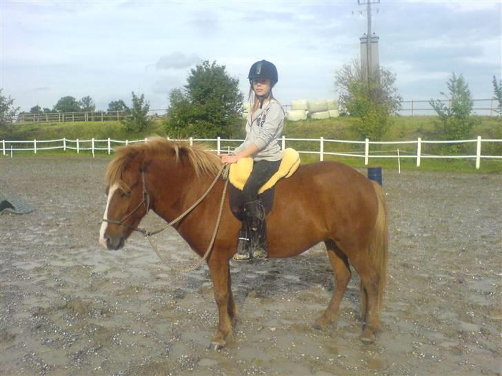 Islænder Drott billede 3