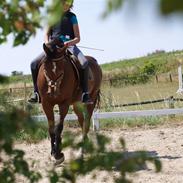 Anden særlig race | Cassie <3 *Vi ses :'(* 