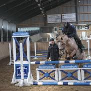 Knabstrupper musse<3