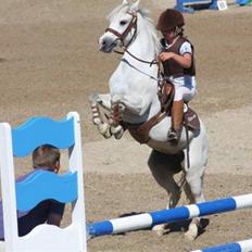 Anden særlig race Rævhalegårds Snowstar