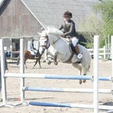 Anden særlig race Rævhalegårds Snowstar