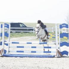 Anden særlig race Rævhalegårds Snowstar