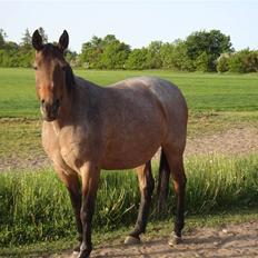 Traver Badutski  16/10-08