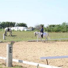 Anden særlig race Miss Steffanie R.I.P