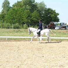 Anden særlig race Miss Steffanie R.I.P