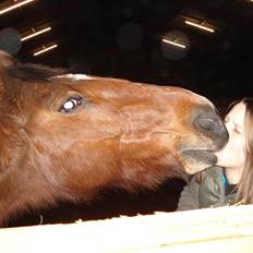 Traver | Skipper - R.I.P 14/1 09