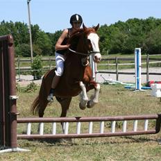 Anden særlig race Mistral (Baby) †22/9-08†