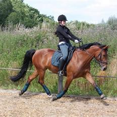 Anden særlig race Villiza RIP