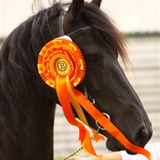 Frieser Tamara Ellemose