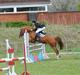 Tysk Sportspony Celette 