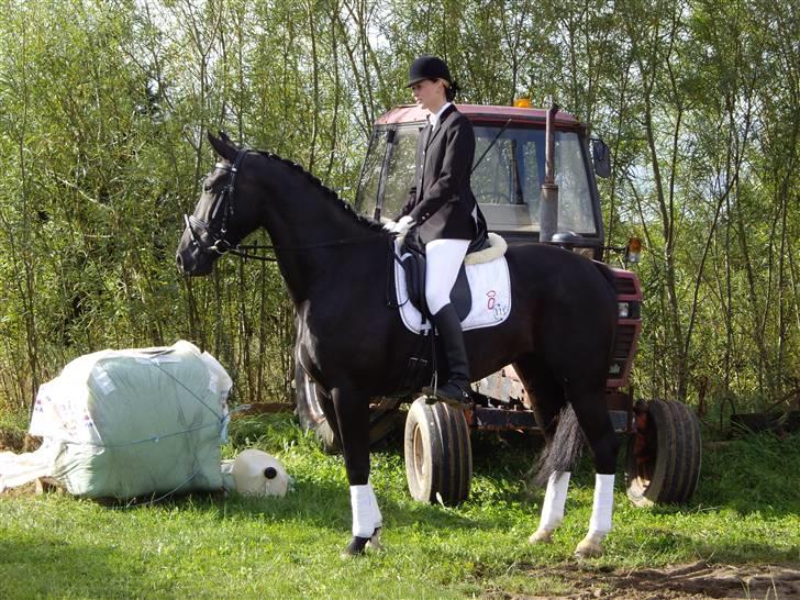 Oldenborg Frederikke Af Hvorvarp billede 12