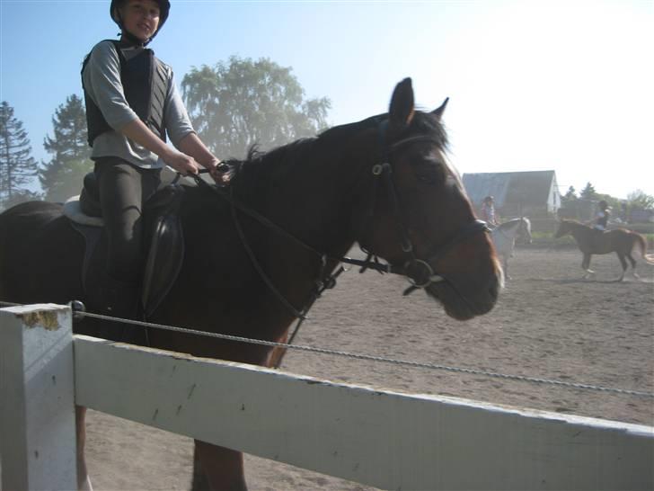Anden særlig race Hunterlaar*Tidl. passer* - nanna og hunteraar igen :) billede 10