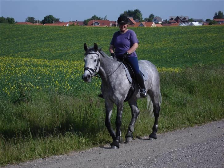 Holstener Coriana Hope - Vi skridter af billede 9