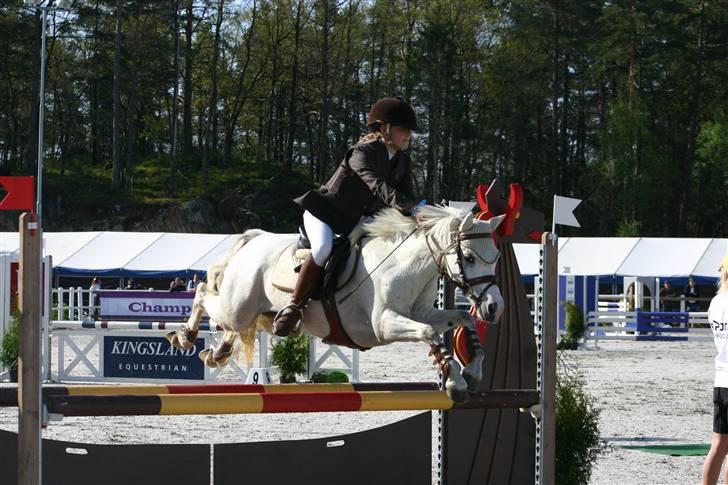 Anden særlig race Rævhalegårds Snowstar - Let er det, fra Baltic Cup Norge. billede 8