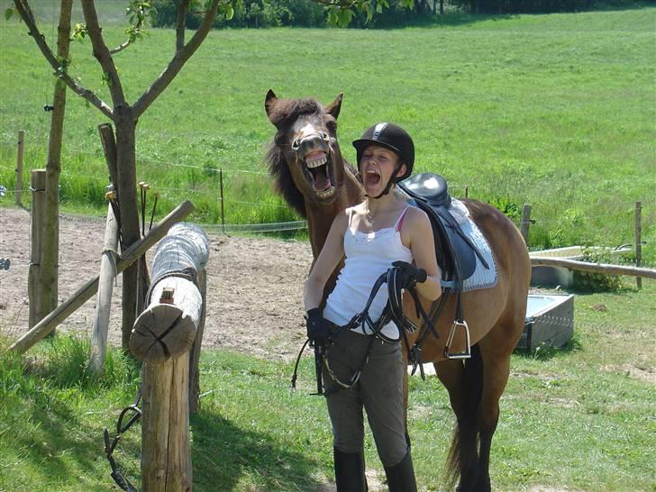 DSP Misty - 8. Er træt og vil iik ud og ride !! Foto: Fie billede 8