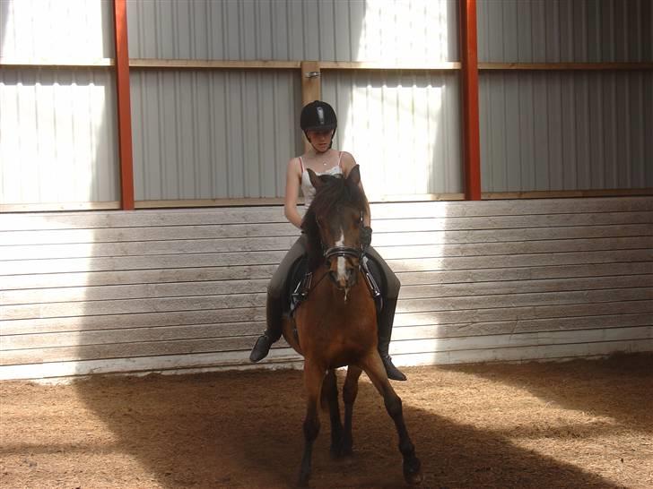 DSP Misty - 9. Shenkelvigning (:  Foto: Fie billede 9