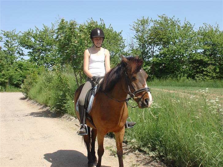 DSP Misty - 11. Halløøøøøj. Foto: Fie billede 11