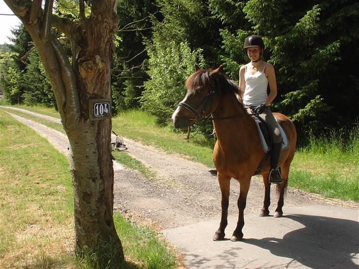 DSP Misty - 13. HER VOGTER JEG !  Foto: Fie billede 13