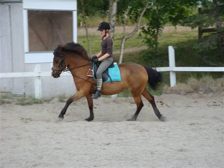 DSP Misty - 16. Galop anspring ;) Foto: Fie billede 16